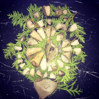 On a dark blue background, rocks are arranged in a spiral of circles on twigs of cedar.